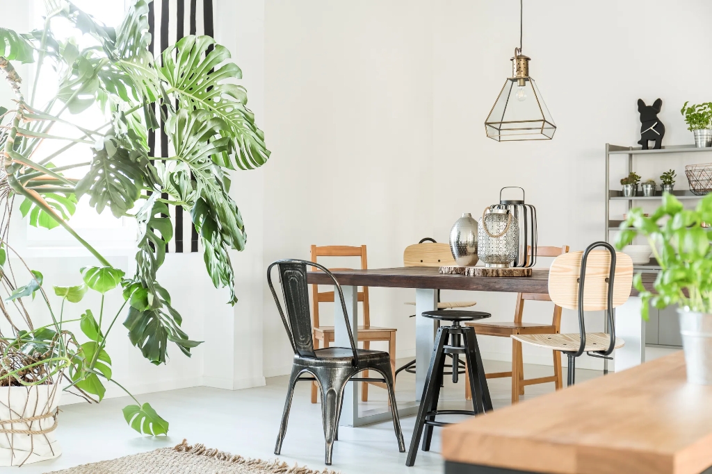 www.minutoneuquen.com.ar home1