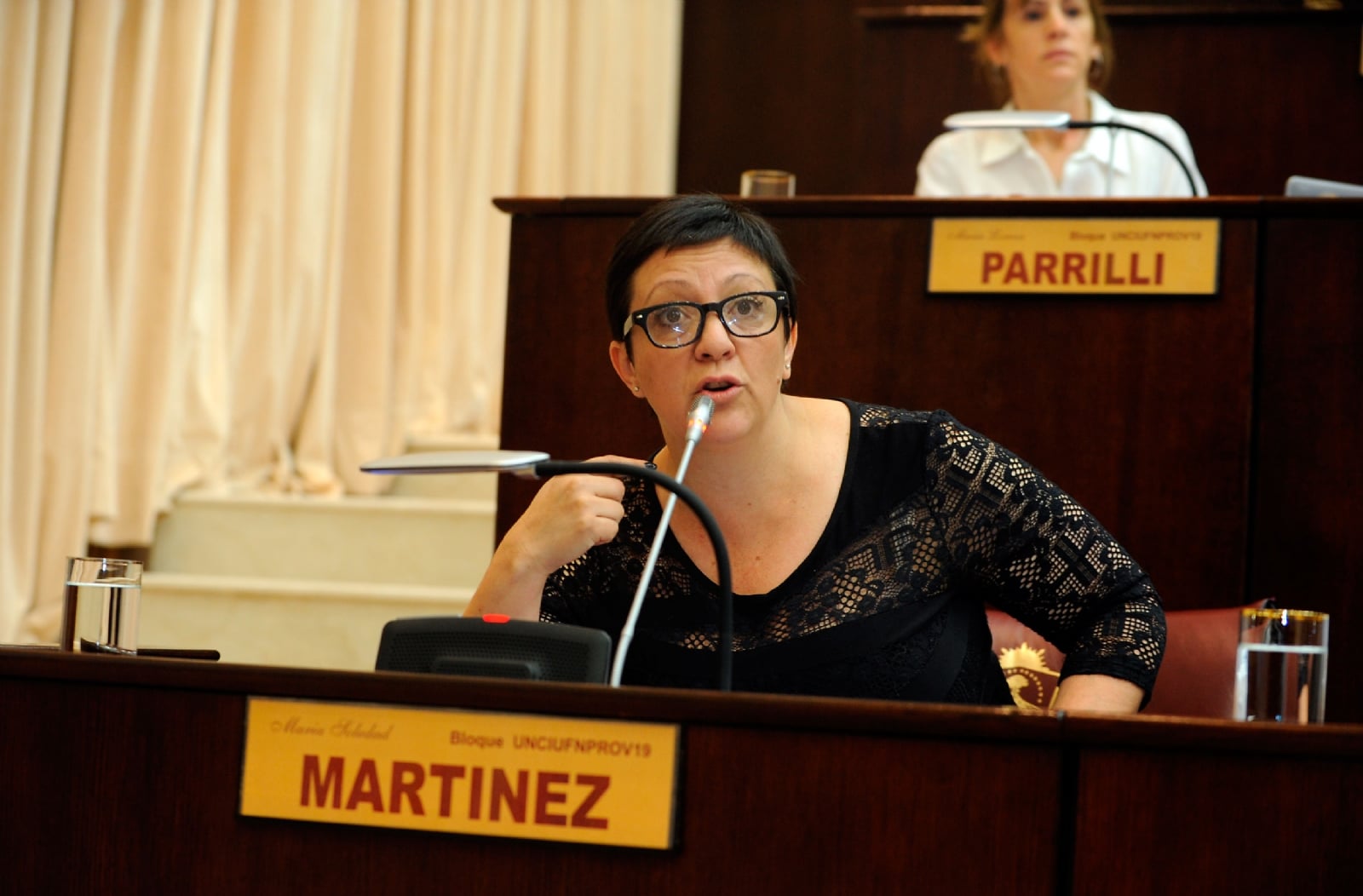 diputada martinez legislatura portada