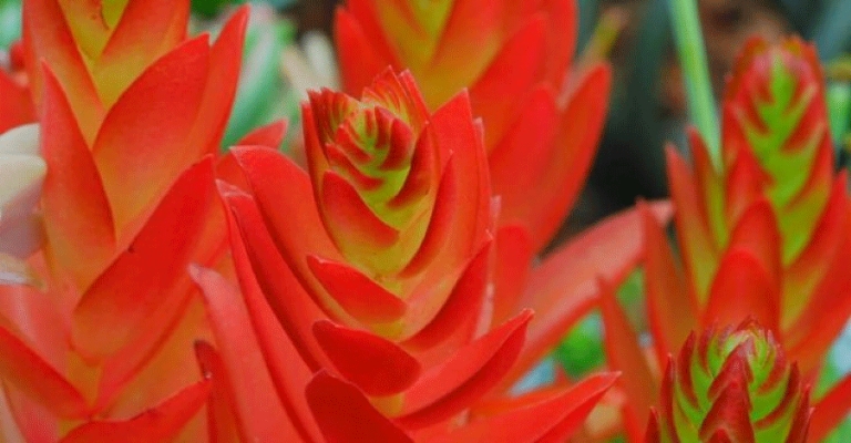 www.minutoneuquen.com.ar sucufeng3