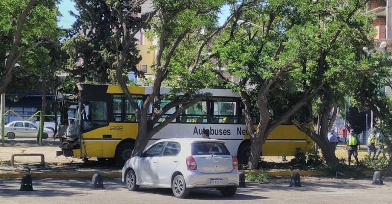 colectivo - Mejor Informado