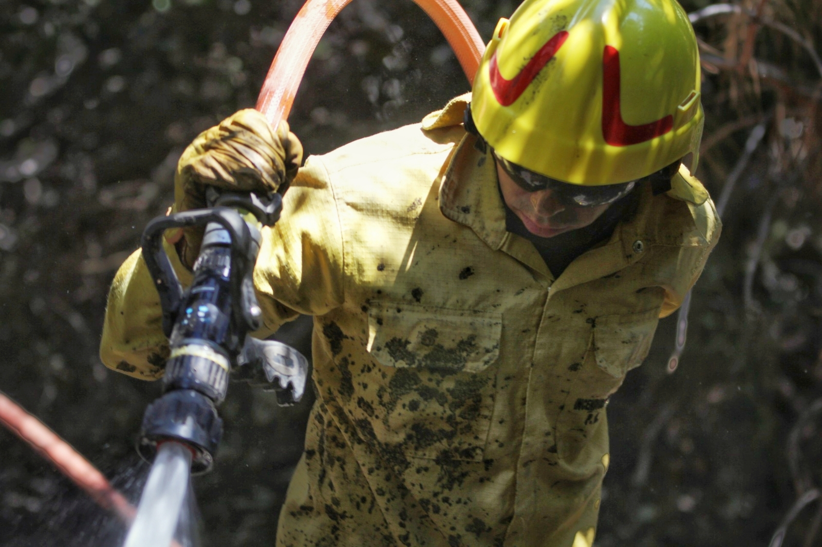 incendios forestales sma9