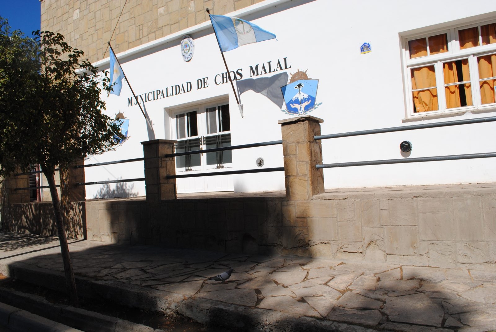 polo obrero portada universidad