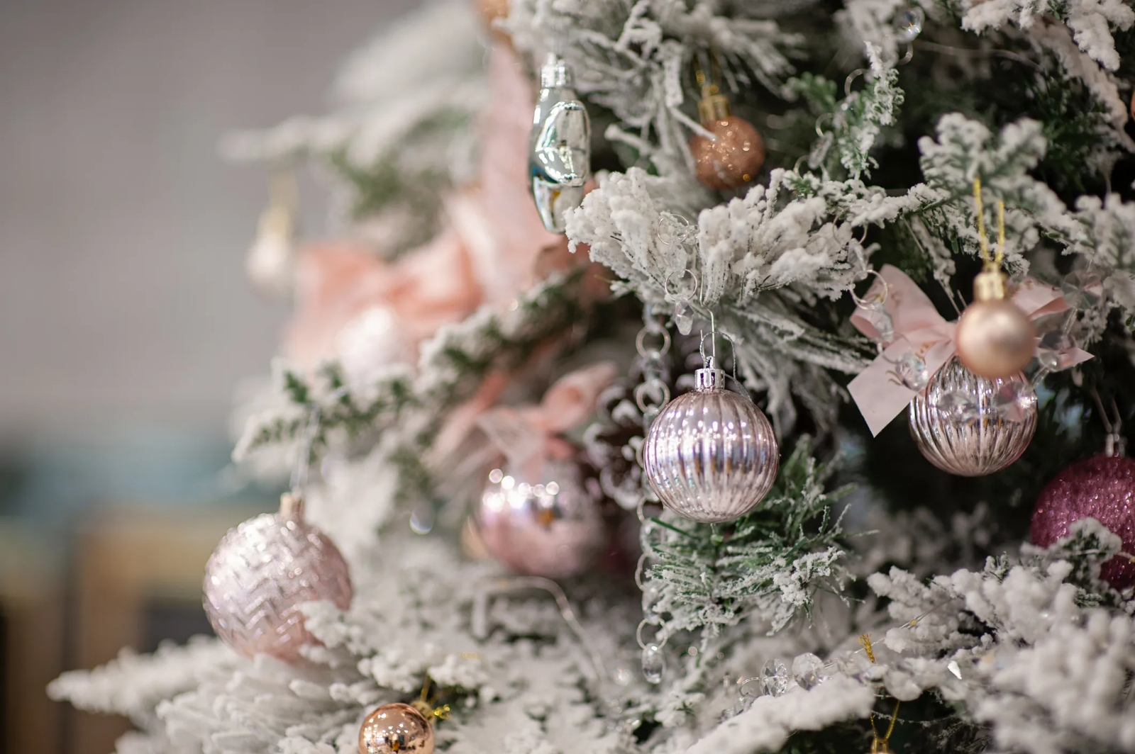 www.minutoneuquen.com.ar arbolnavidad00