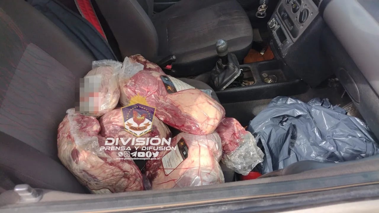 Policía de Neuquén 2