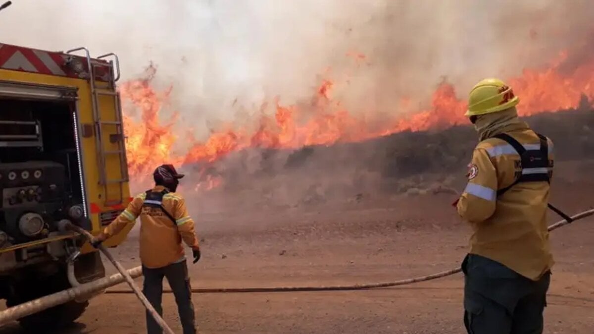 fuego Diario Rio Negro 3