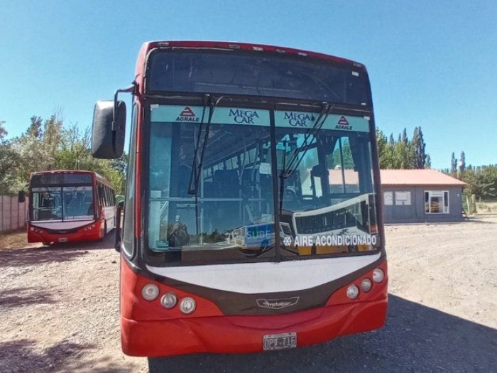 Plottier colectivo