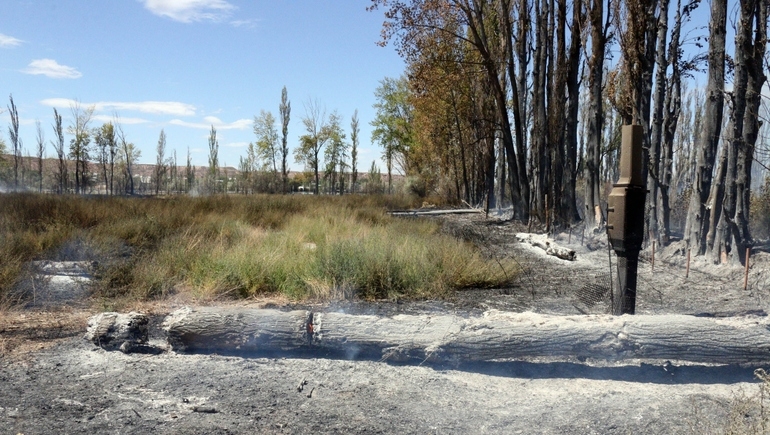 Incendio