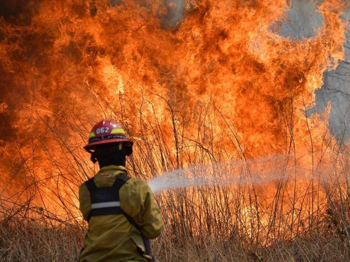 incendios-corrientesjpg