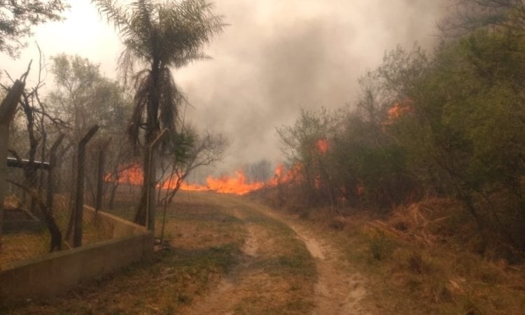 Corrientes incendios
