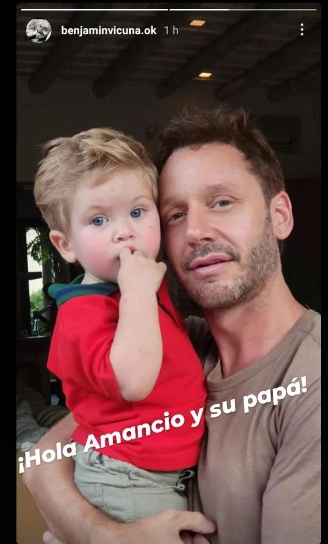 vicuna_amancio