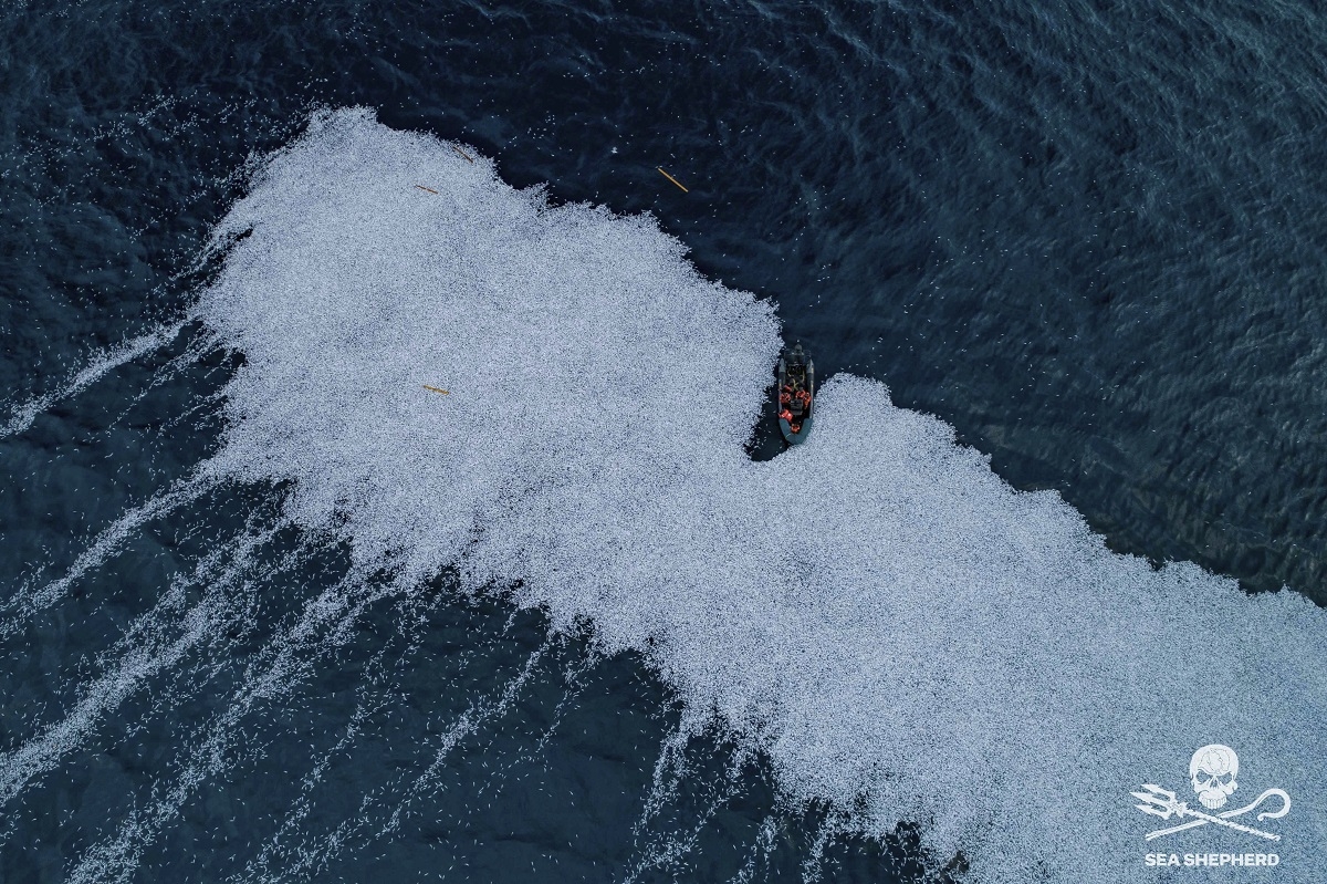 19