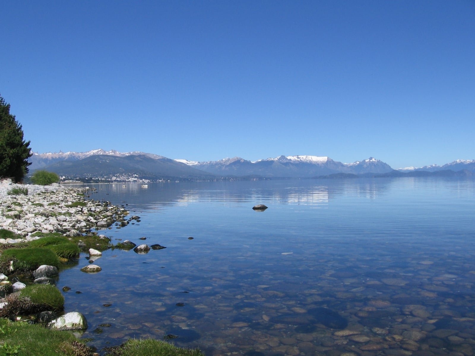 portada 6