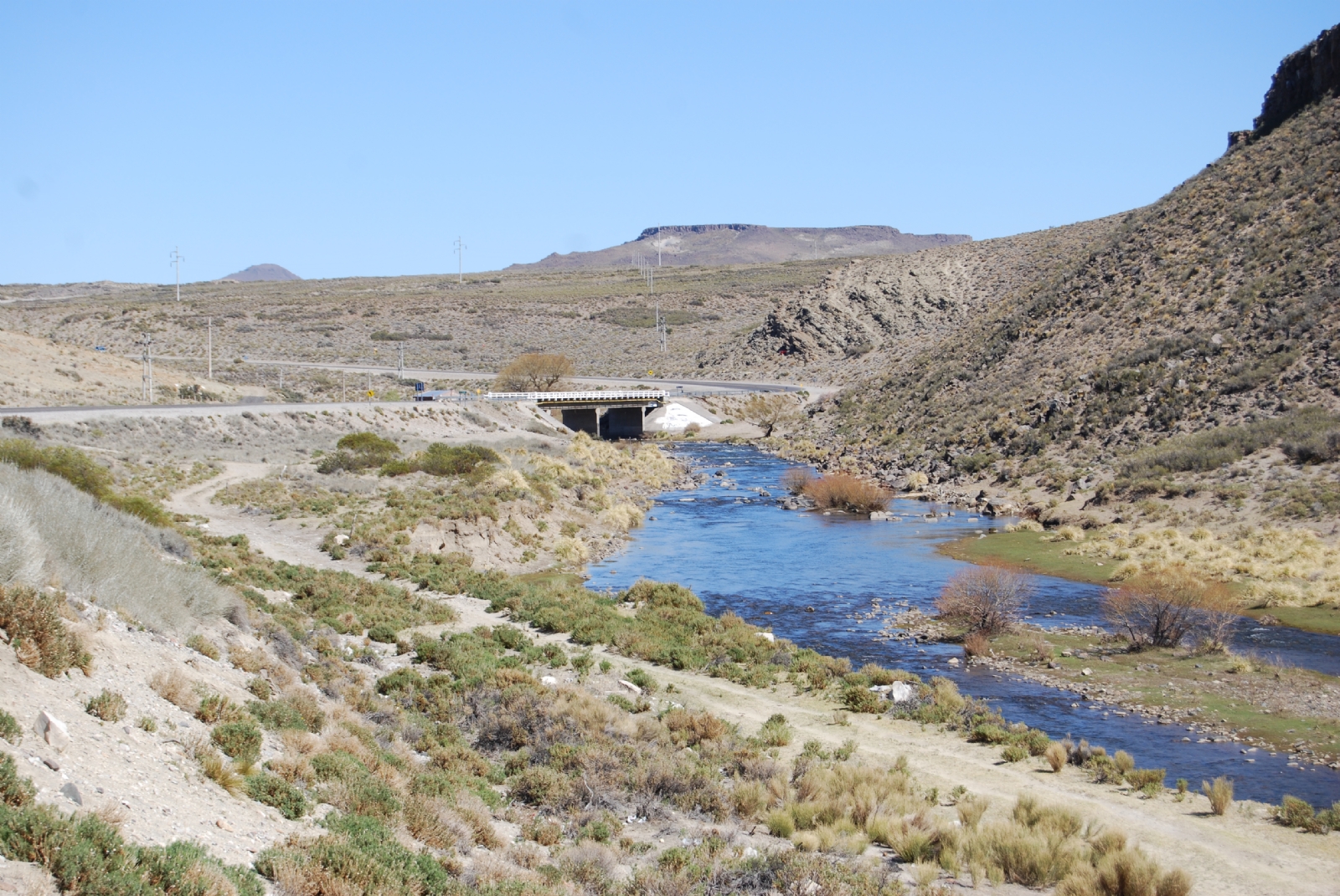Arroyo_Covunco