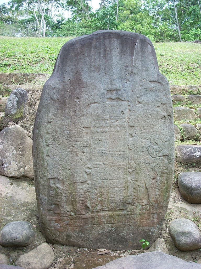 31