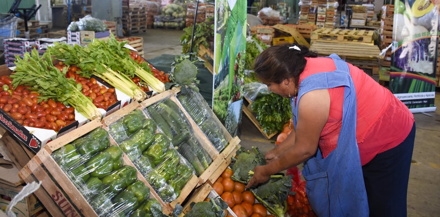 WEB-MERCADO-CONCENTRADOR_SIP8877_0023