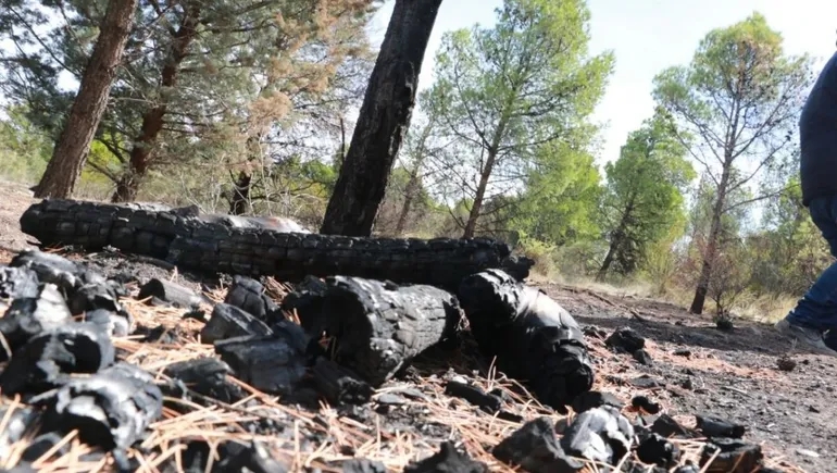 incendio-parque-norte-quemadojpg