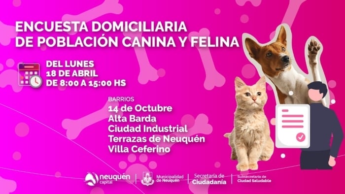 muni neuquen mascotas