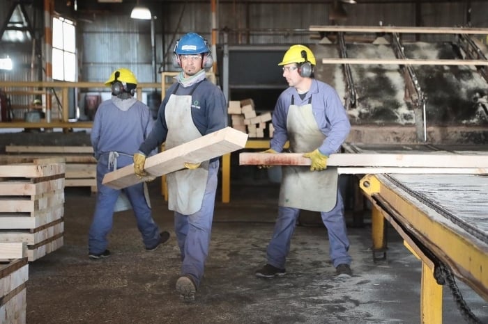 Aluminé madera