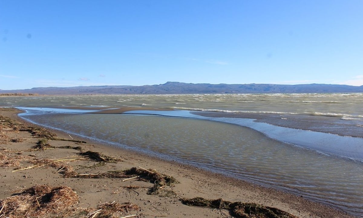 Lago Musters Chubut (1)