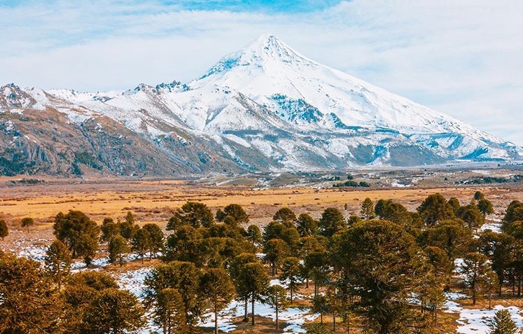 parque-nacional-lanin-volcan-araucarias-nieve-turismo