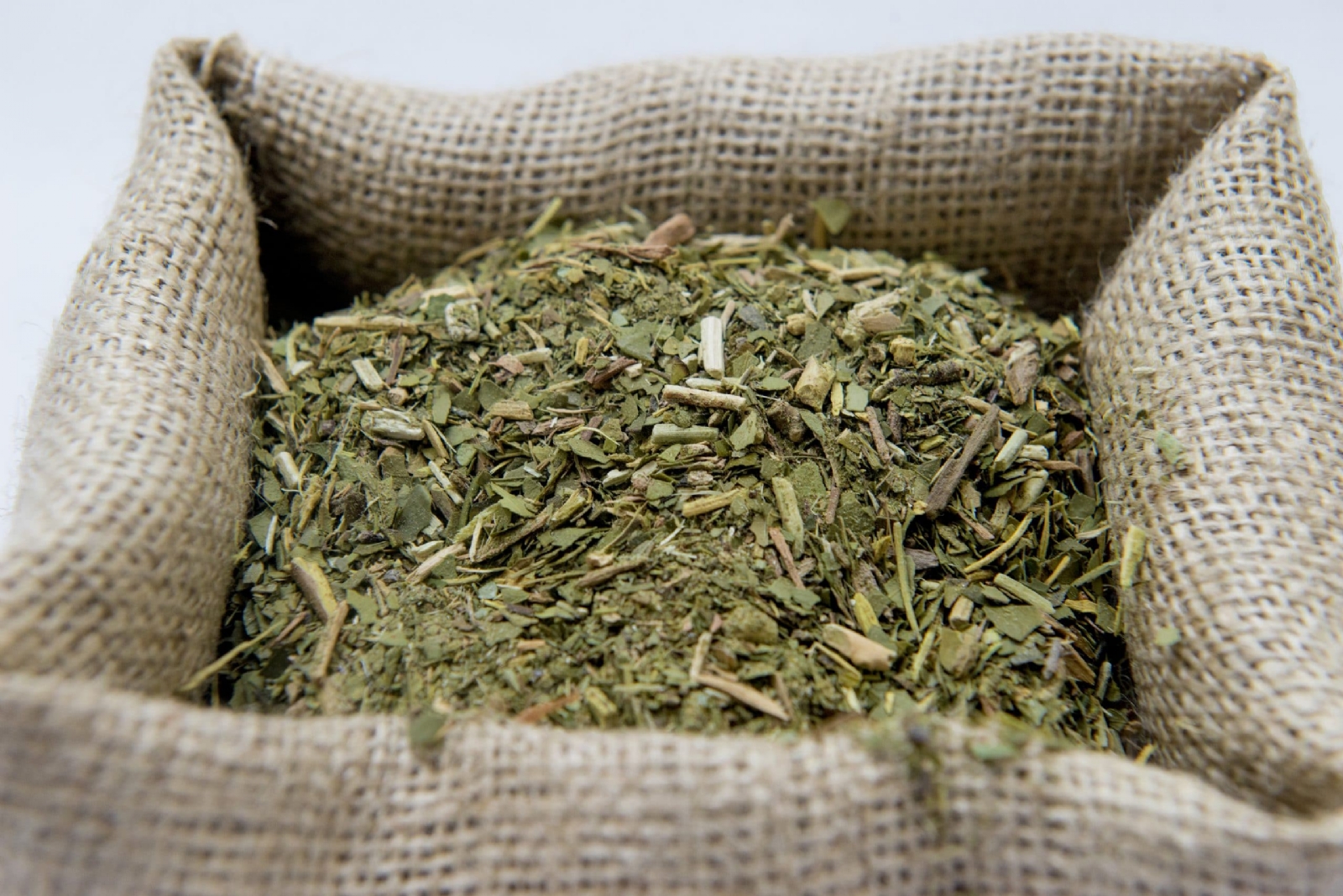 yerba-scaled