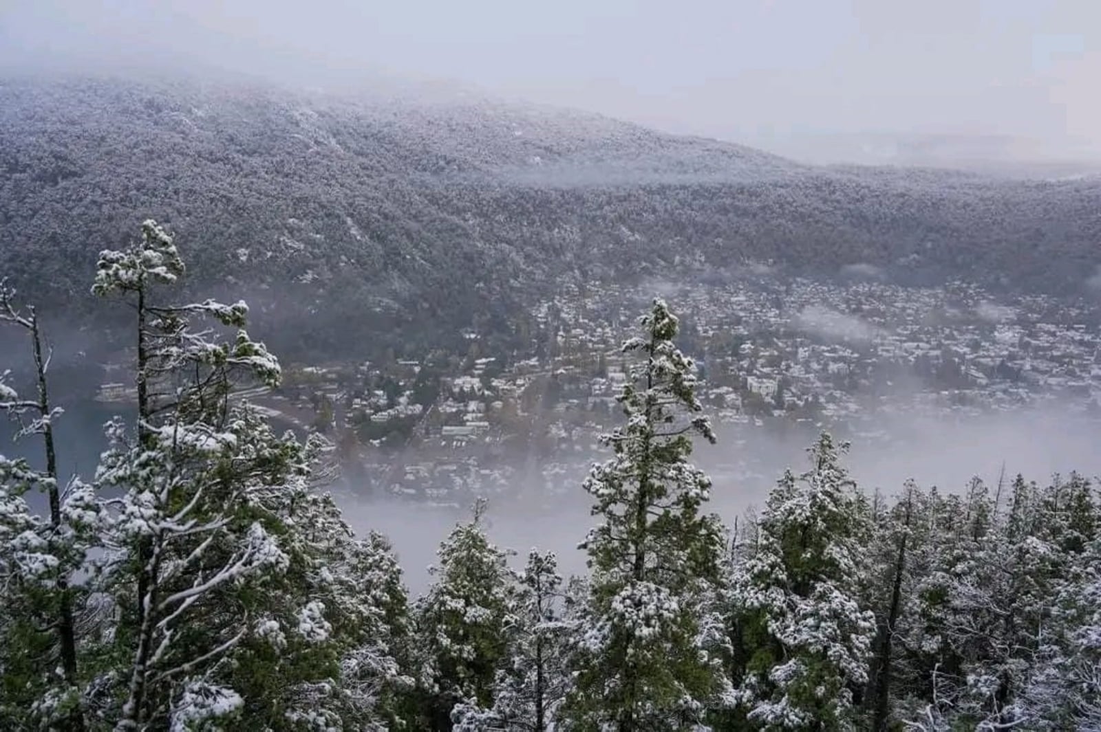 Nieve