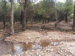 Parque norte 4