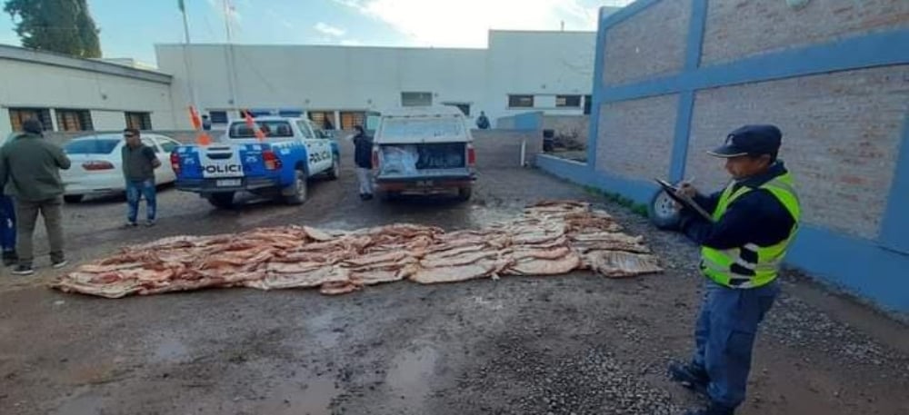 Costillares decomisados en añelo