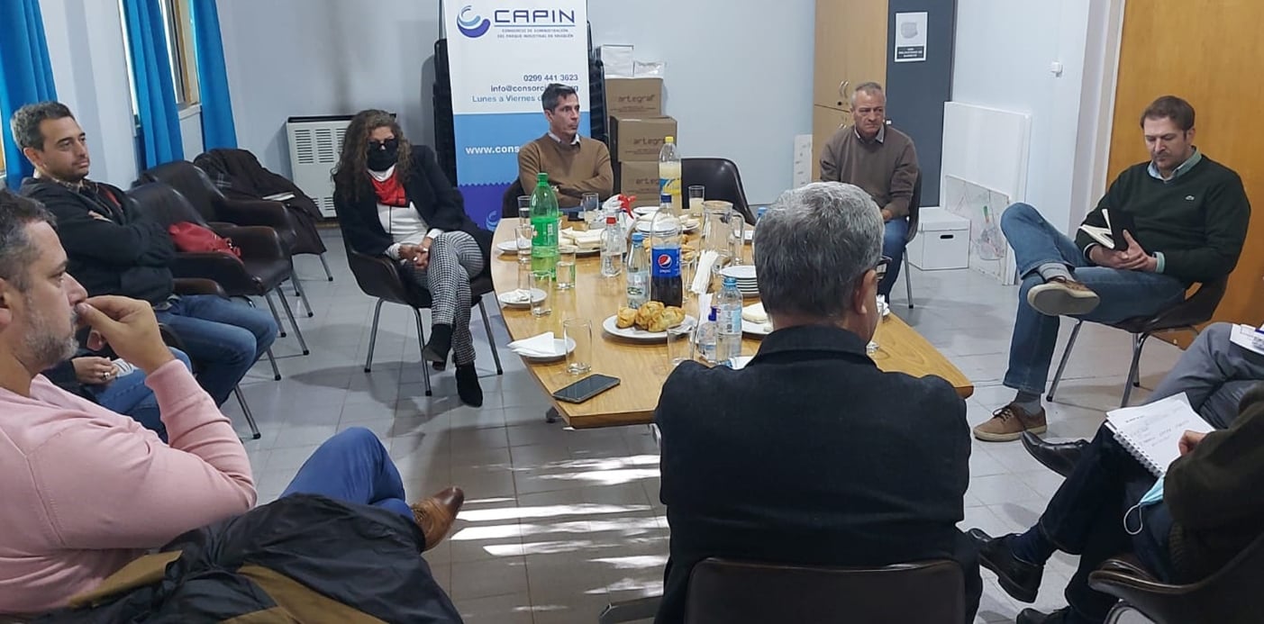 Reunión CAPIN