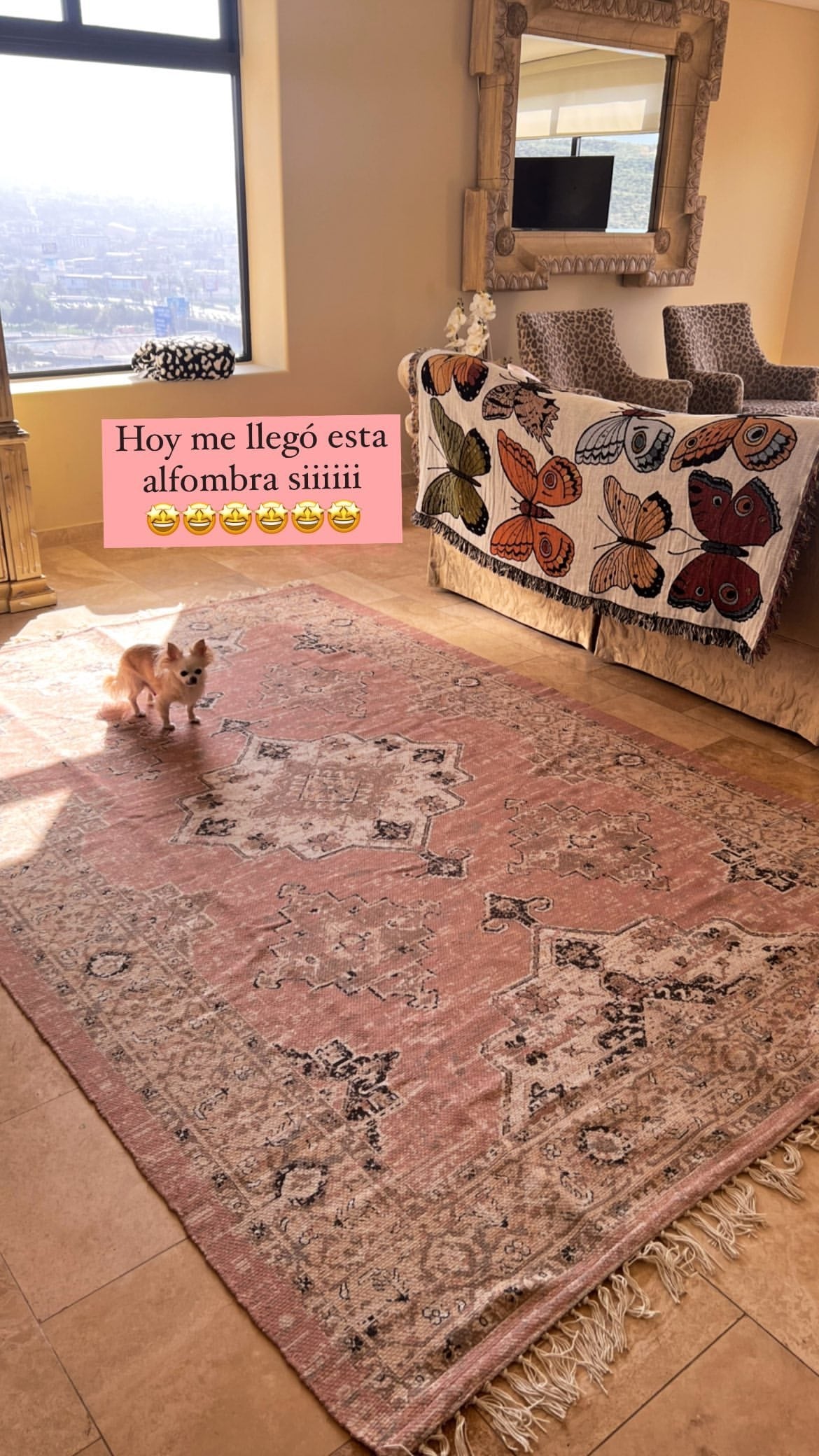 www.minutoneuquen.com.ar mica4