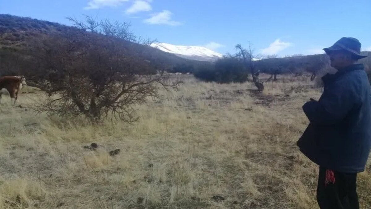 desalojo neuquén