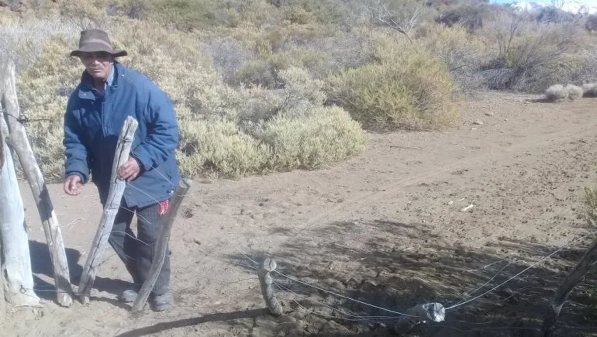 desalojo neuquén 2