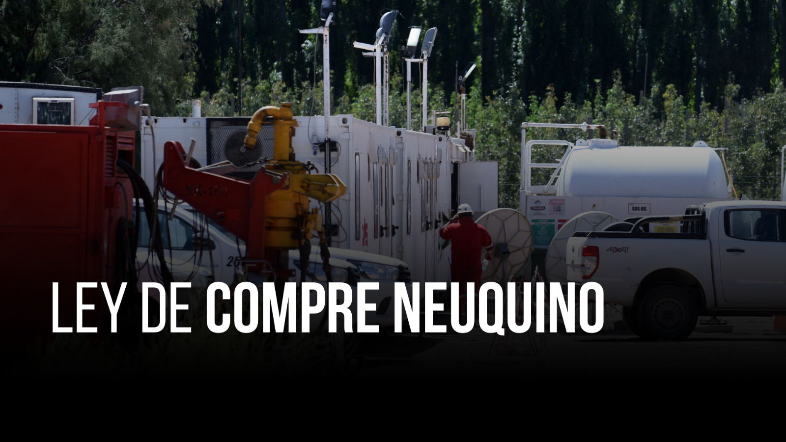 ley de compre neuquino (1)