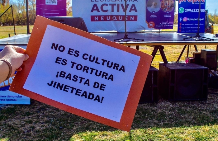 Jineteada Neuquén