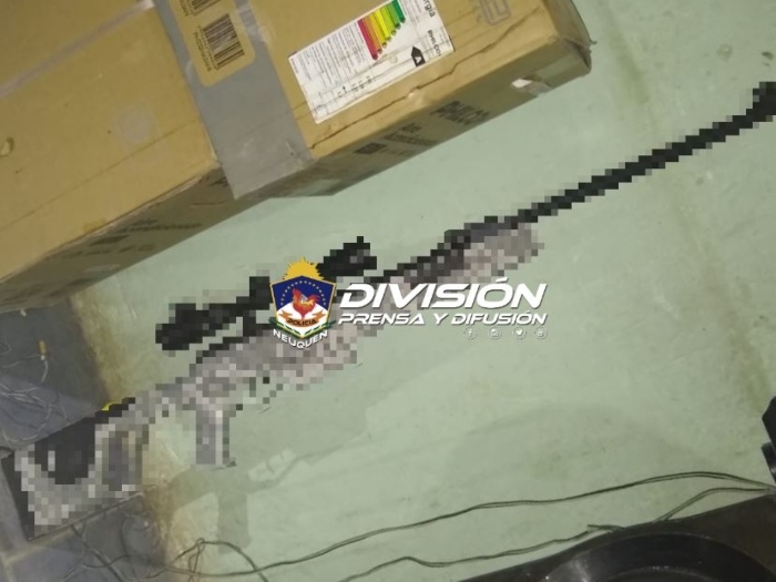 Armas Don Bosco