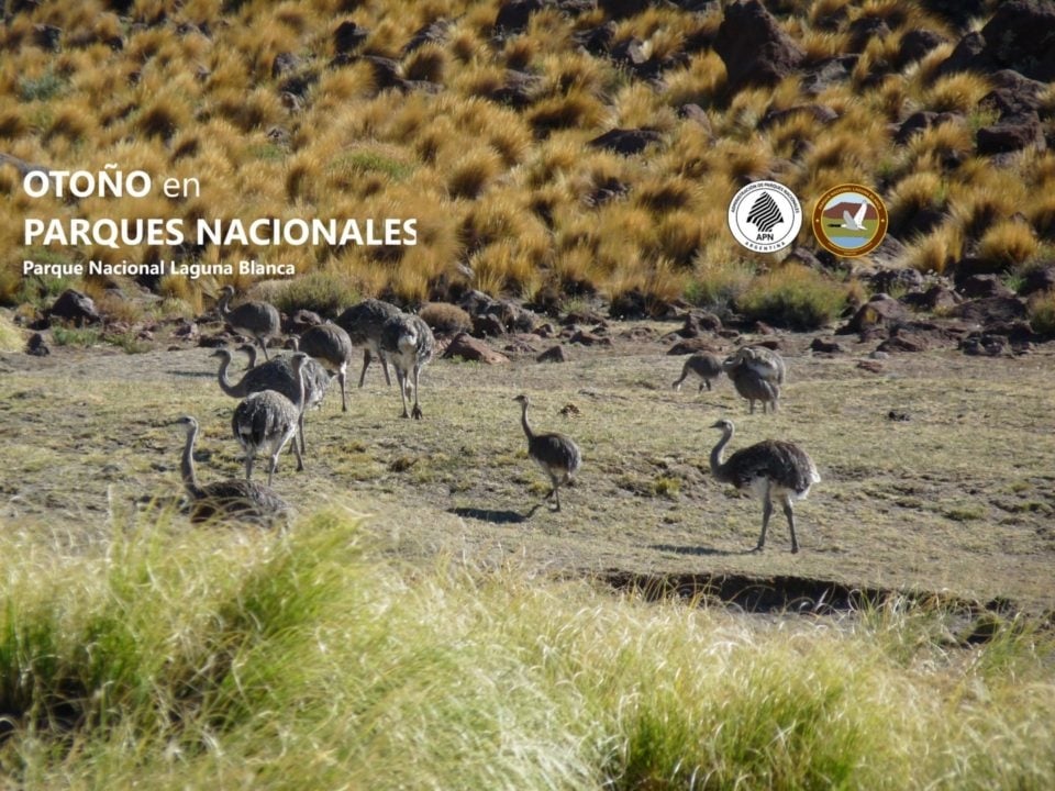 Parque Nacional Laguna Blanca