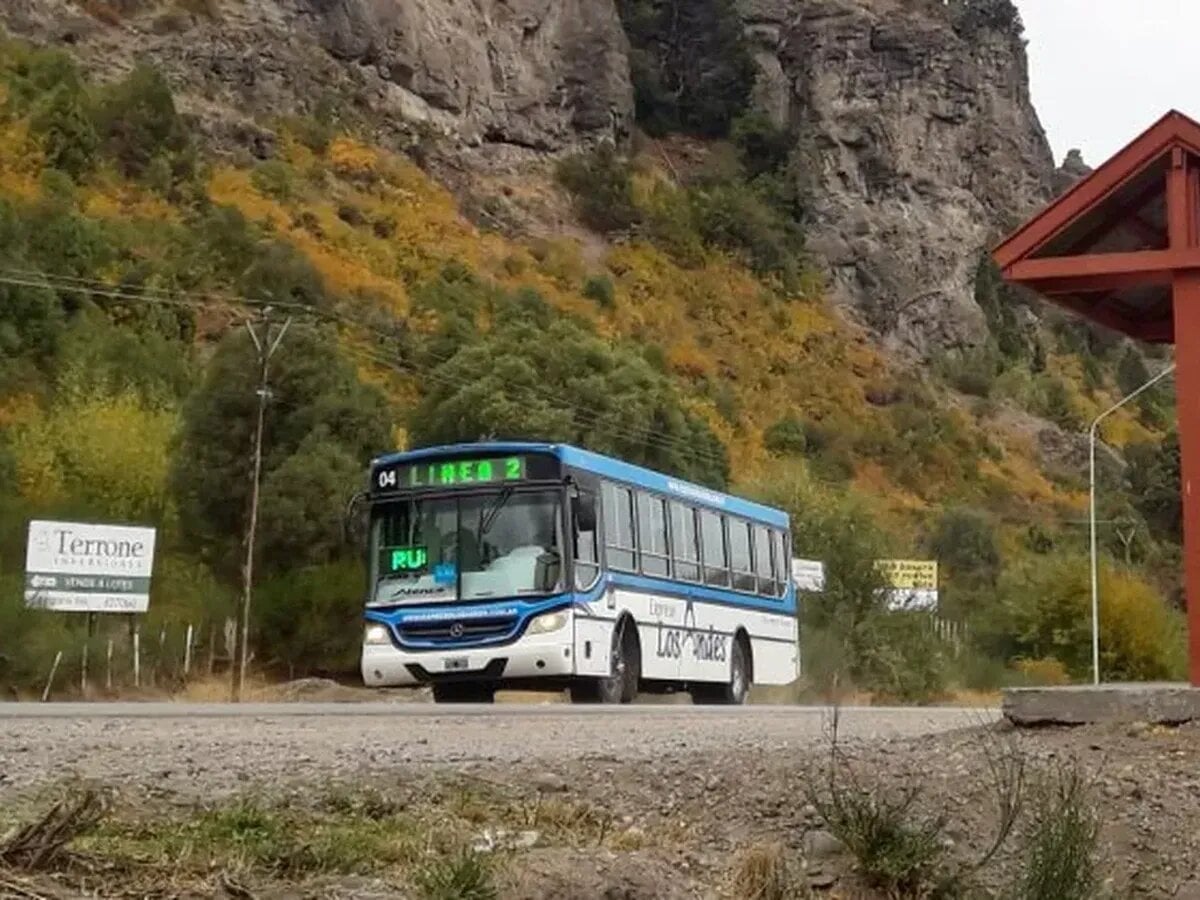 licitacion los andes 1