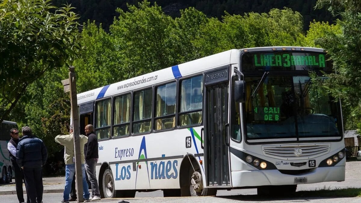 licitacion los andes 2