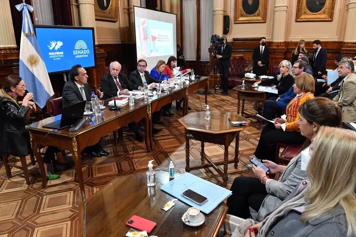 constitucionalistas-senado-5jpg (1)