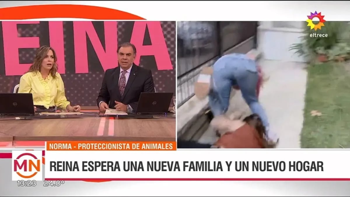 www.minutoneuquen.com.ar elrece1