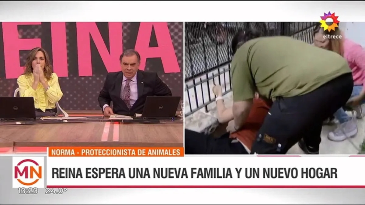 www.minutoneuquen.com.ar eltrece2