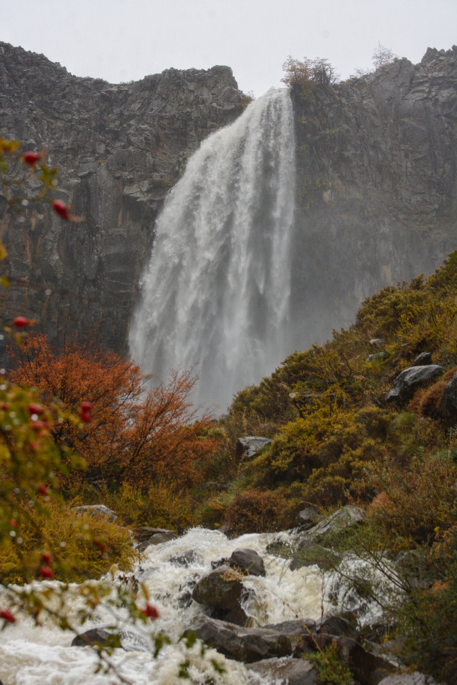 Turismo en Neuquén1