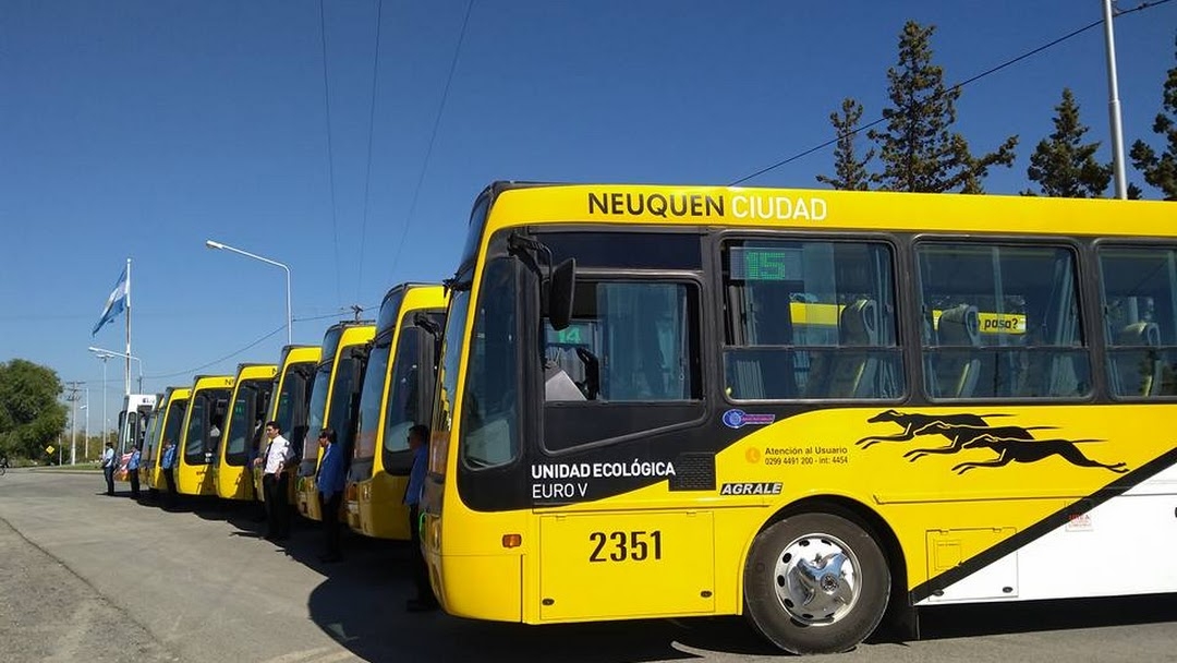 autobuses neuquen 1
