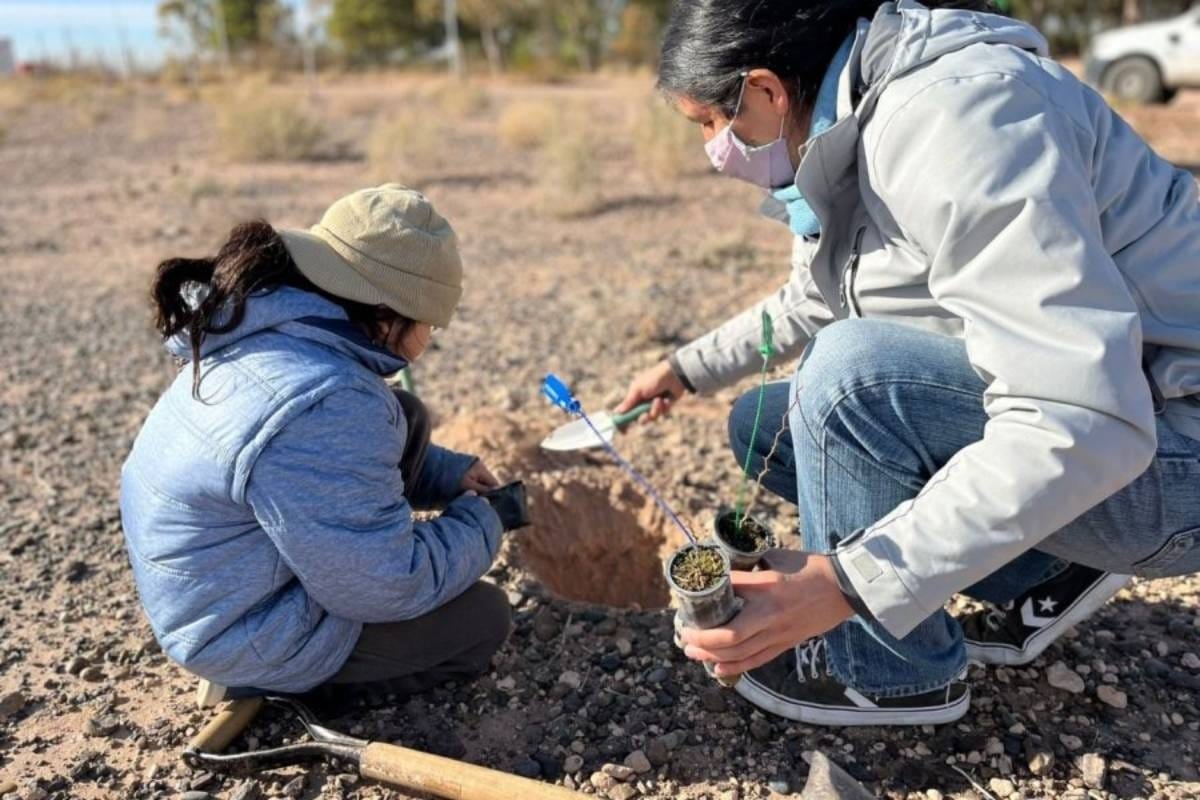 Reforestan Parque Norte Neuquén