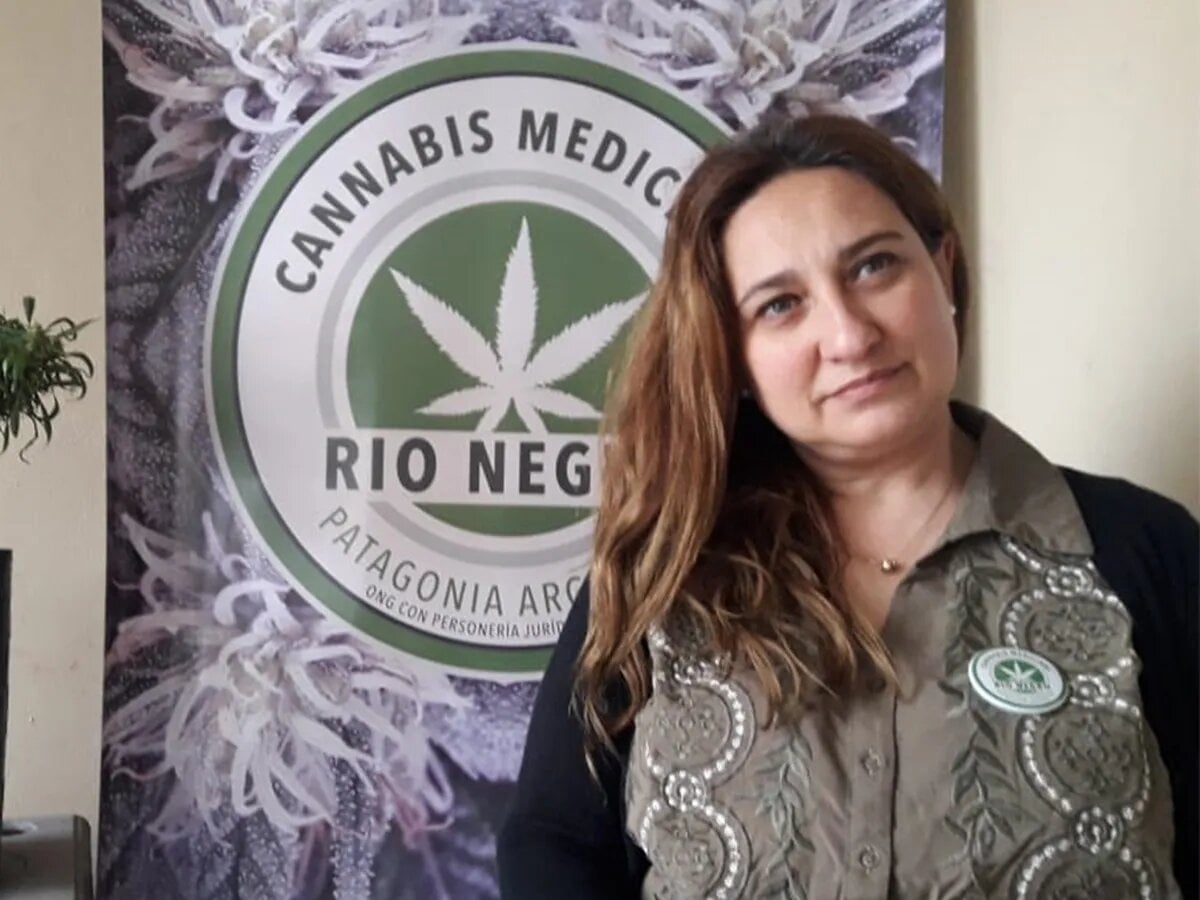 cannabis cipolletti