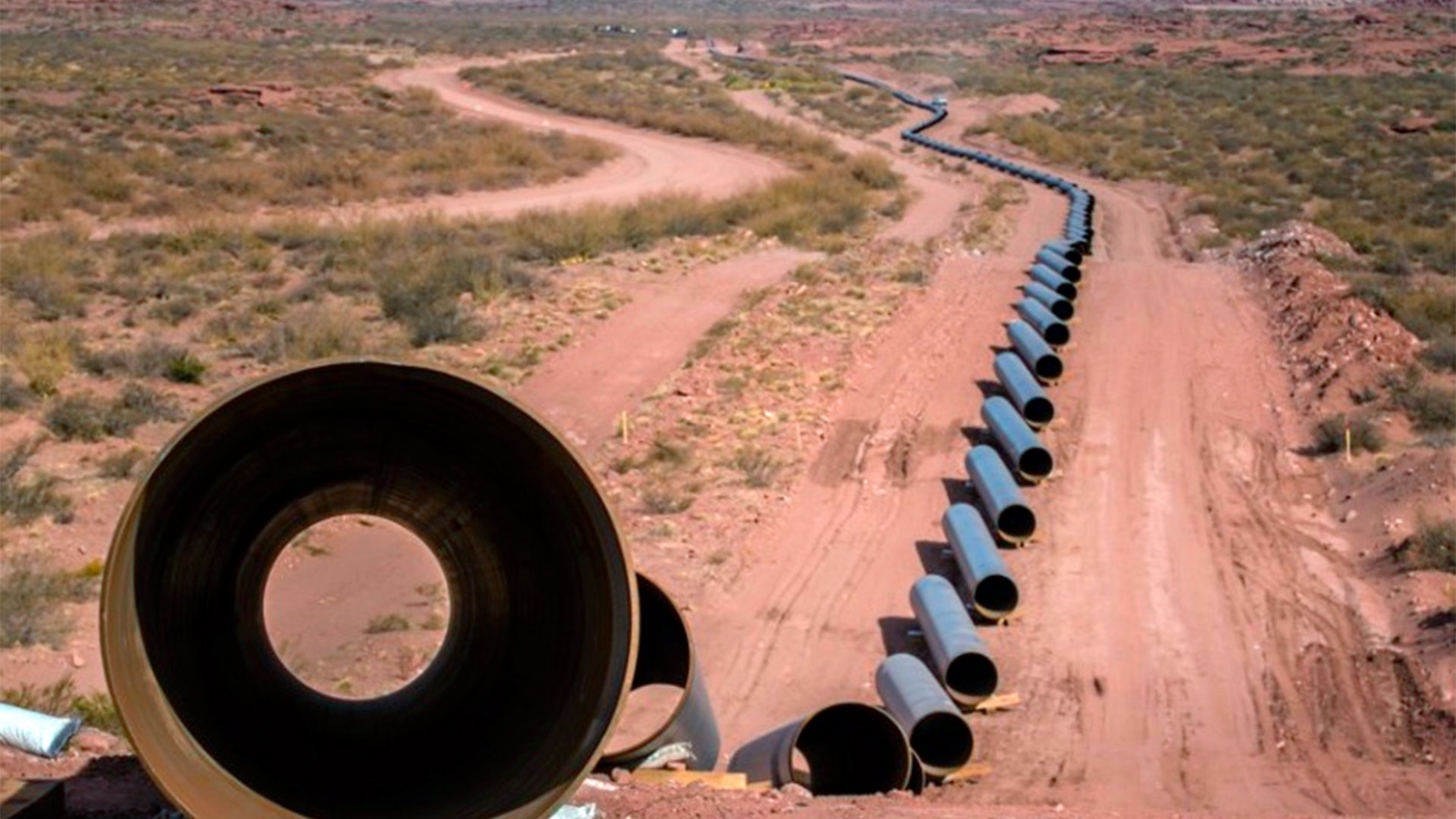 GAS1