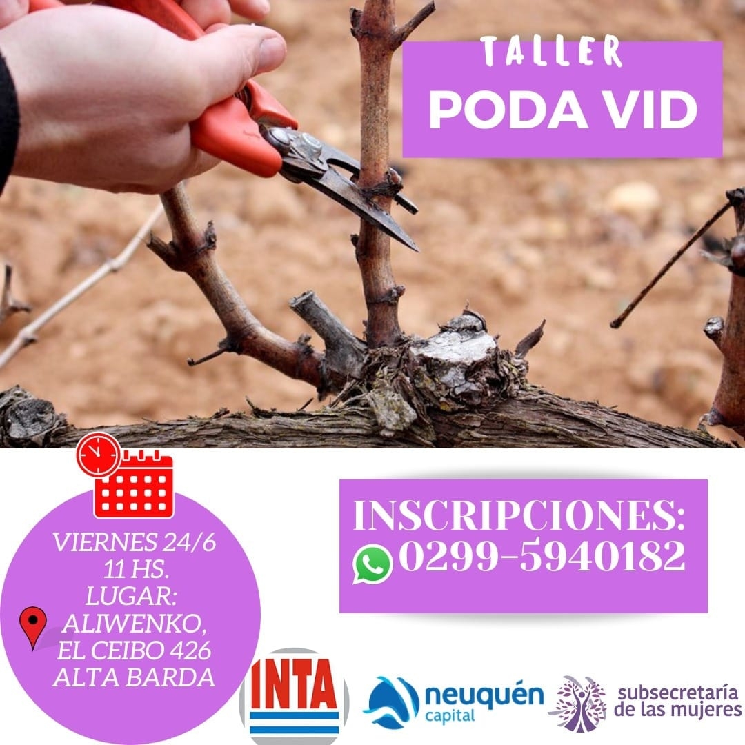 taller poda