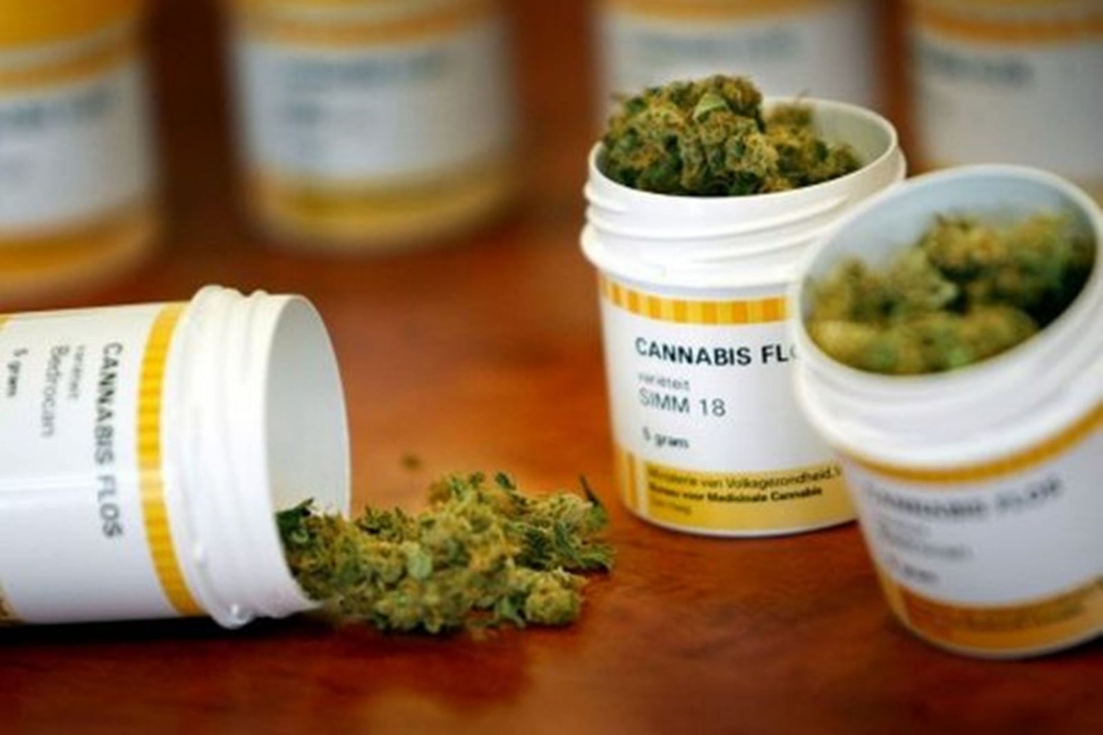 cannabis 1