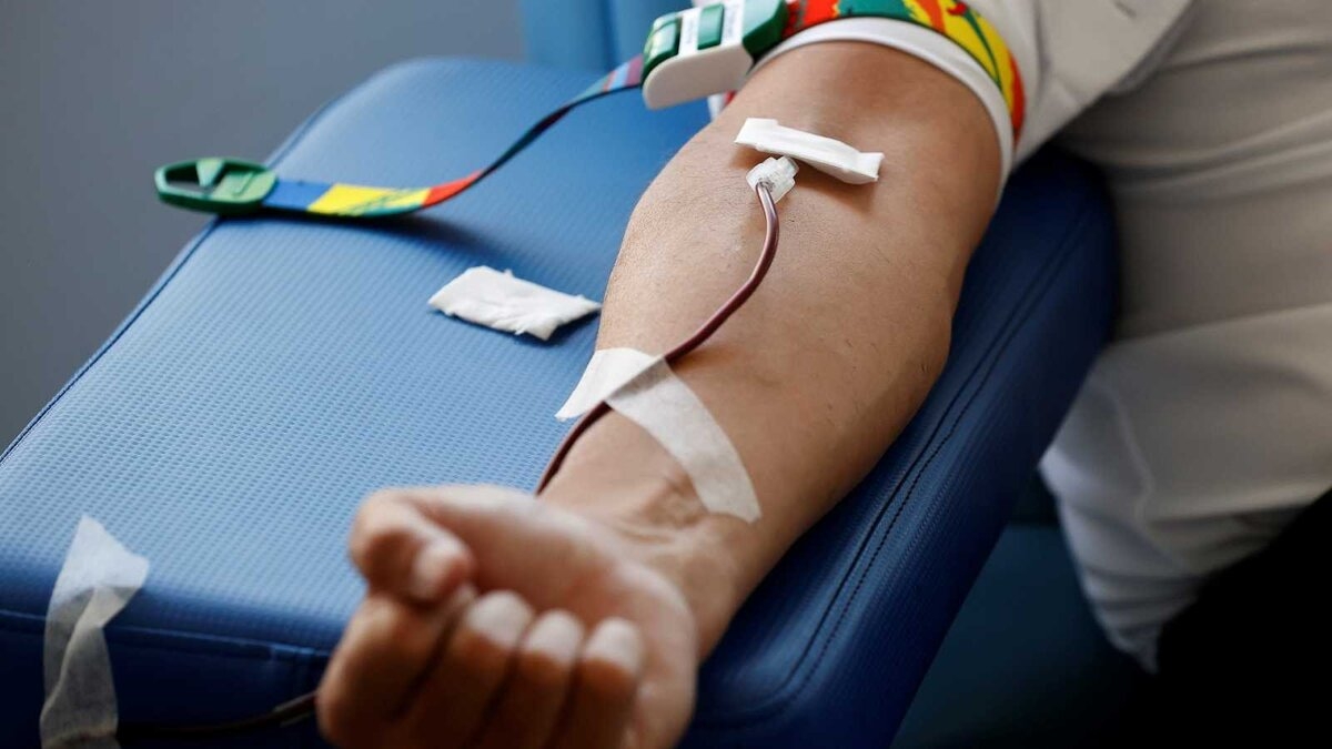 donar sangre 2