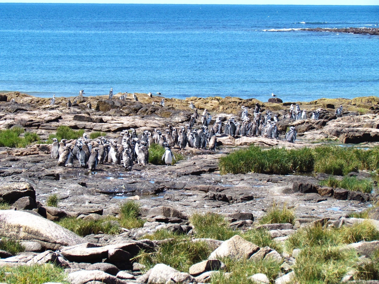 PARQUE NACIONAL ISLOTE LOBOS-1